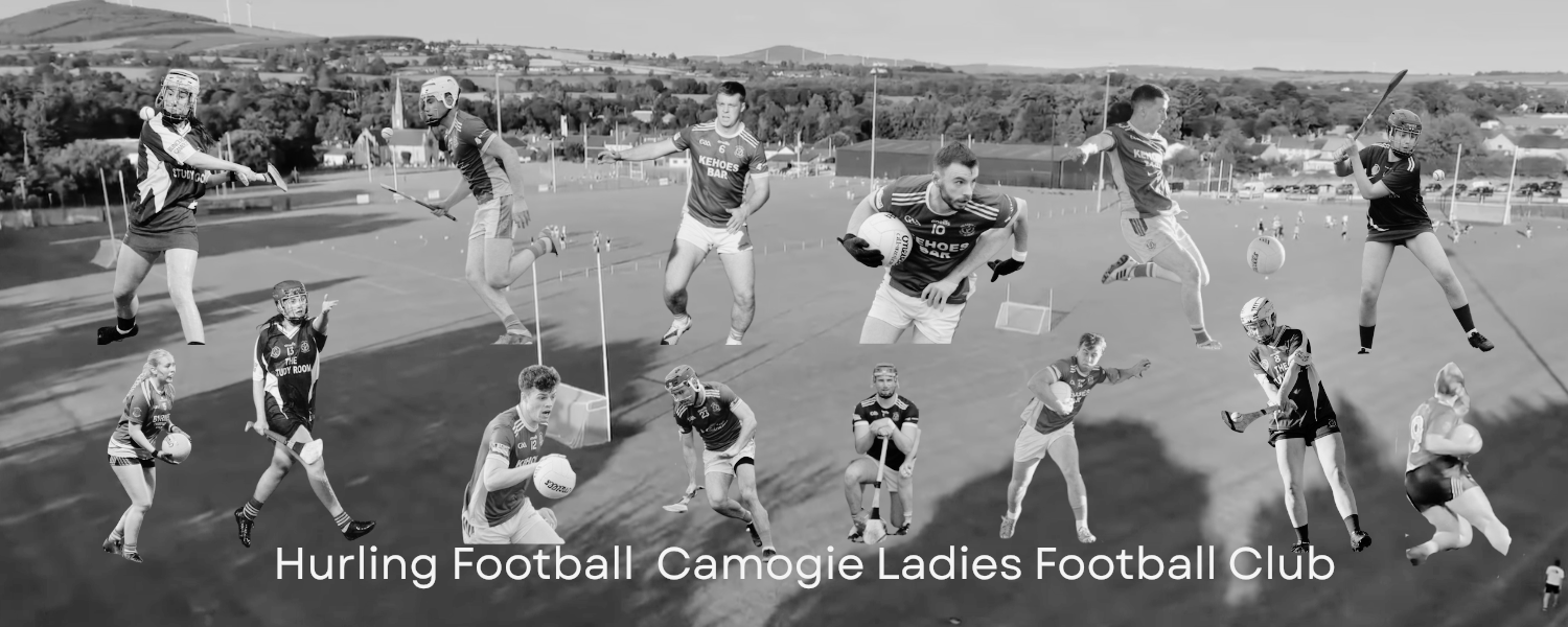 HWH Bunclody GAA