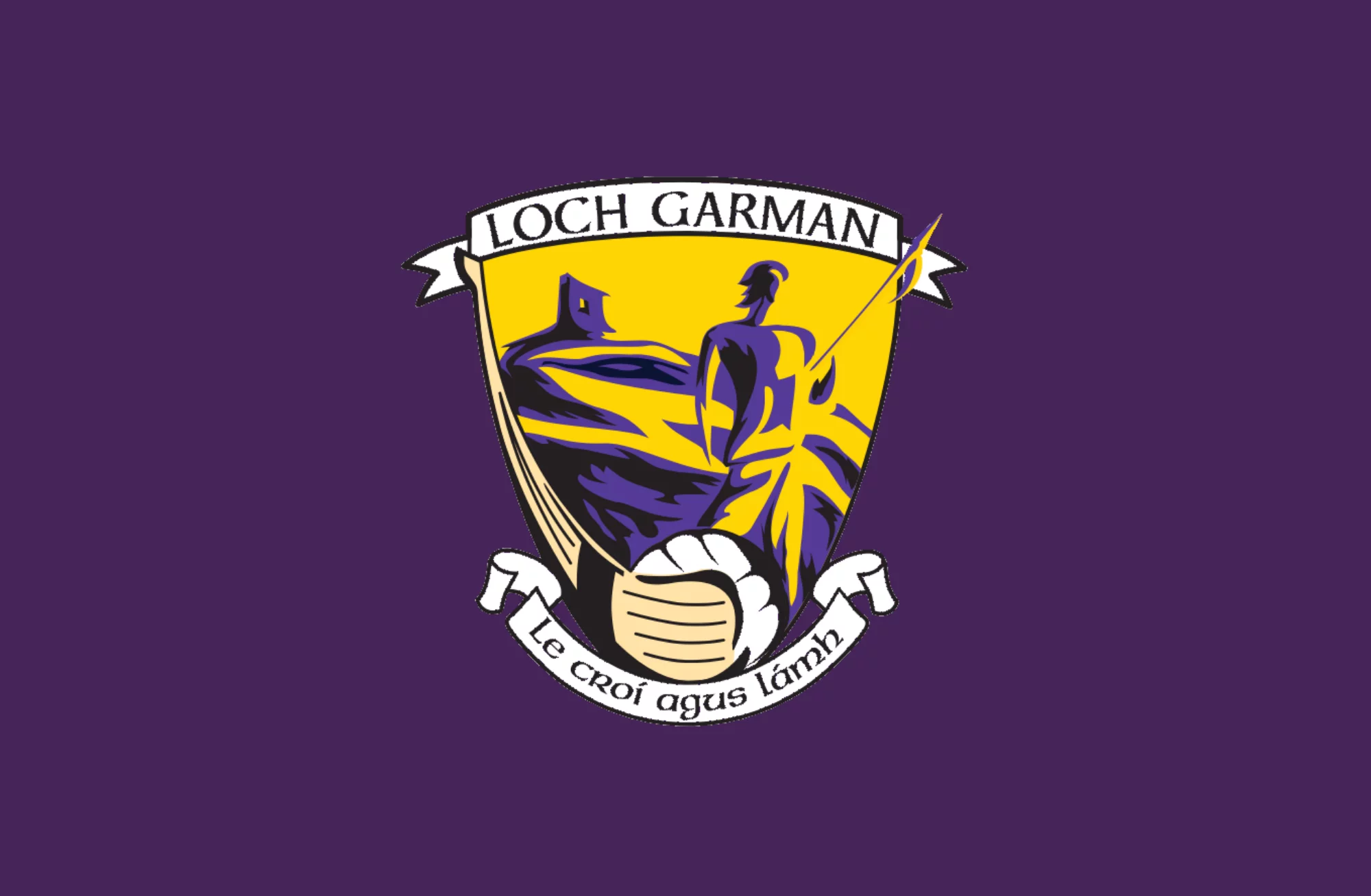 Wexford GAA